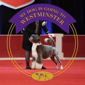 Meet your Posher, Kristina